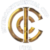 Kombe la Mabara la FIFA