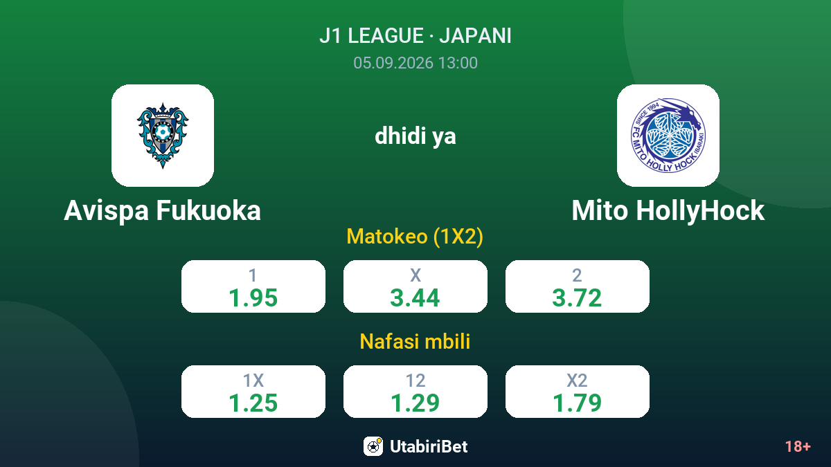 Avispa Fukuoka vs Mito HollyHock — odds