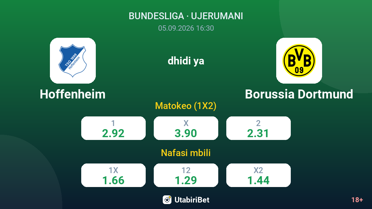 Hoffenheim vs Borussia Dortmund — odds