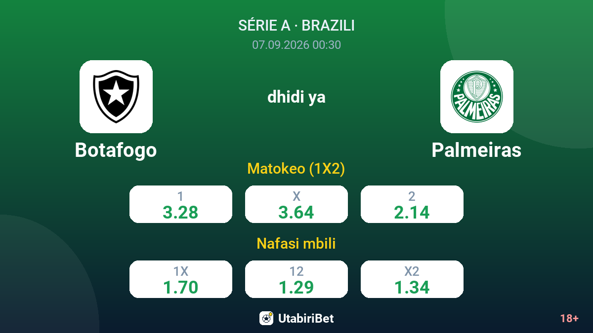 Botafogo vs Palmeiras — odds