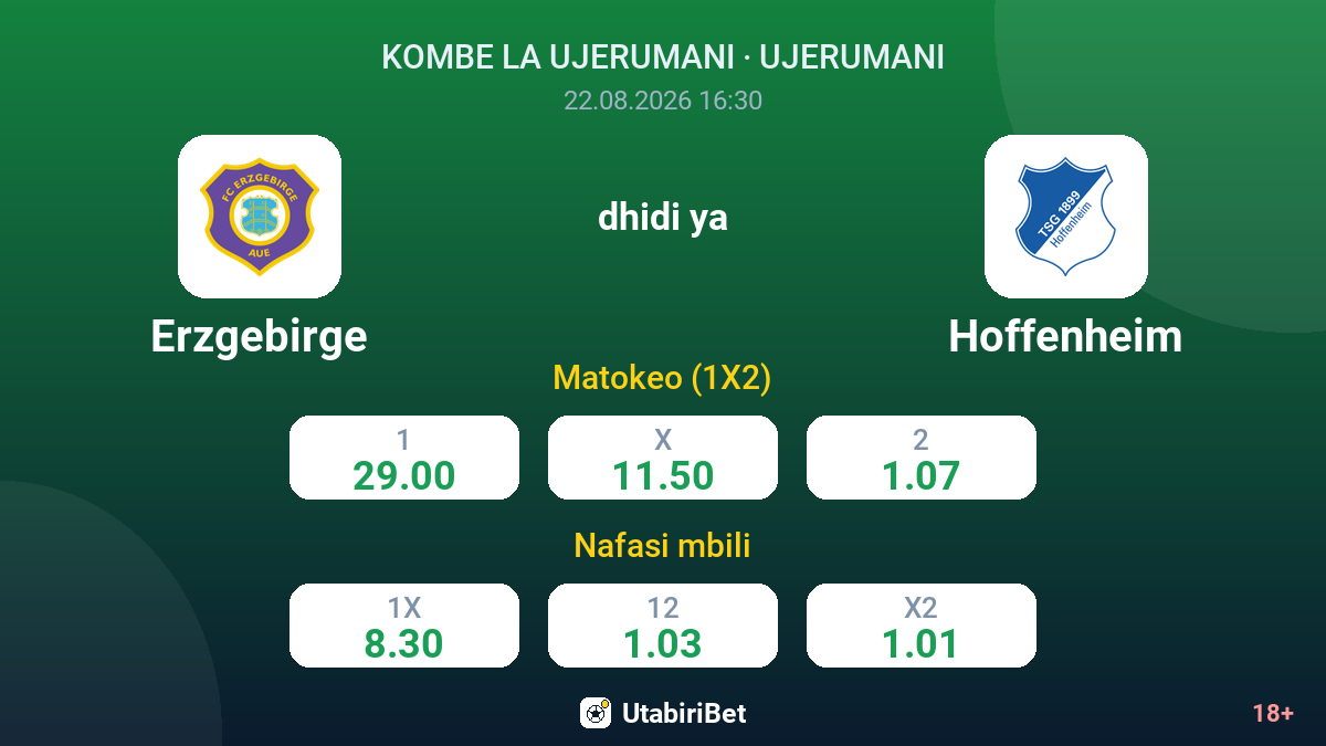 Erzgebirge vs Hoffenheim — odds