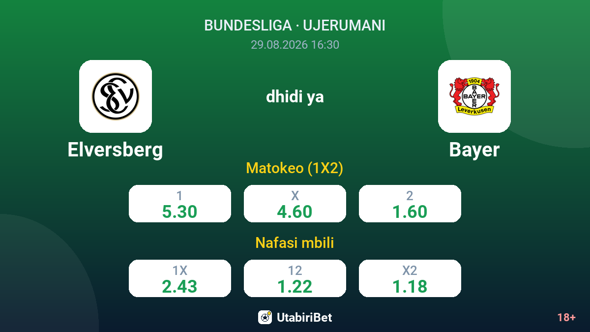 Elversberg vs Bayer — odds