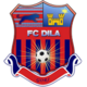 Dila nembo